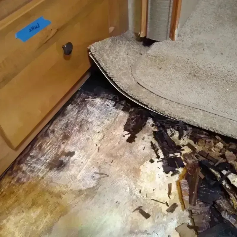 Wood Floor Water Damage in Chester, IL